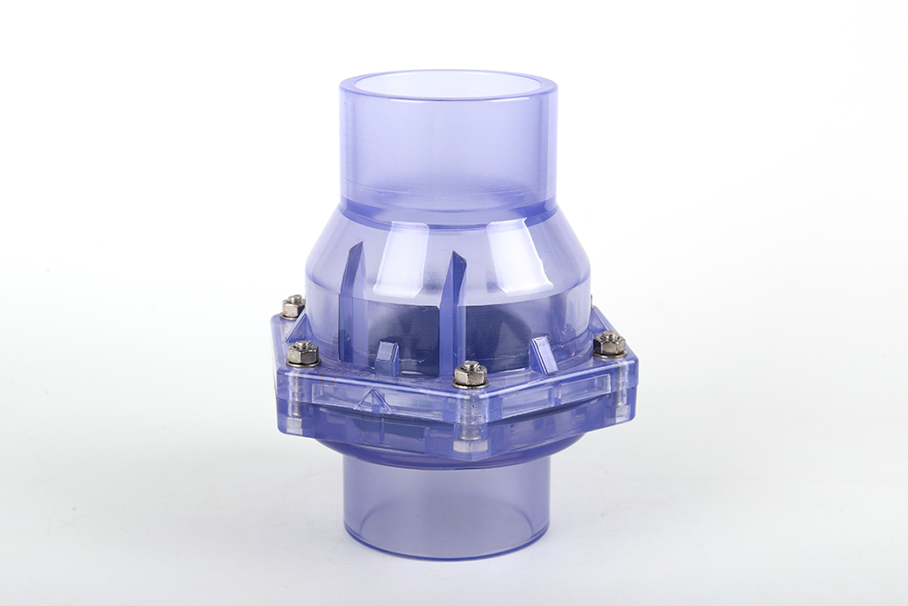 隆林透明翻板式止回阀